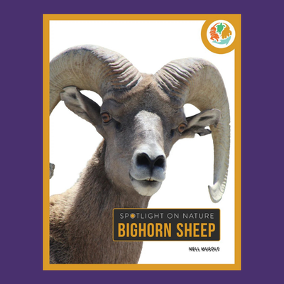 {{ item_info.title }}