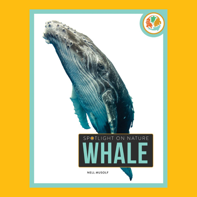 {{ item_info.title }}