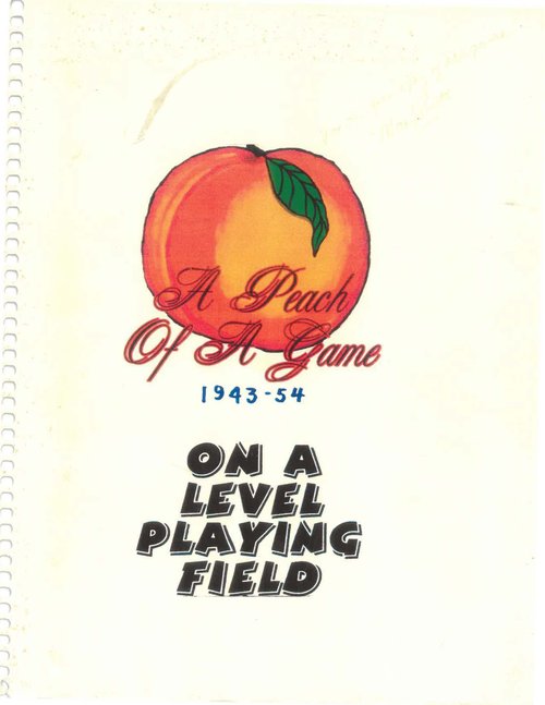 Pratt On A Level Playing Field_cover_Page_01