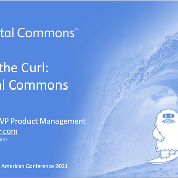 Shooting the Curl:  The Digital Commons Product Roadmap