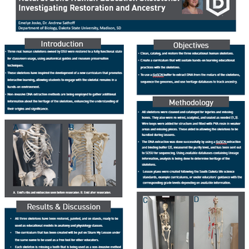 Natural Bone Human Education Skeletons: Investigating Restoration and Ancestry