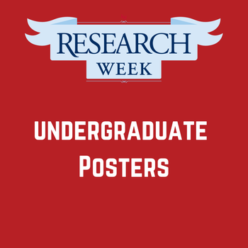 Undergraduate Posters