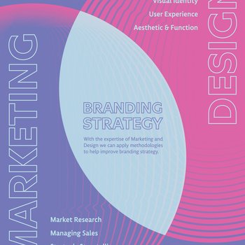 Nícolas Guimarães Vieira | 2024