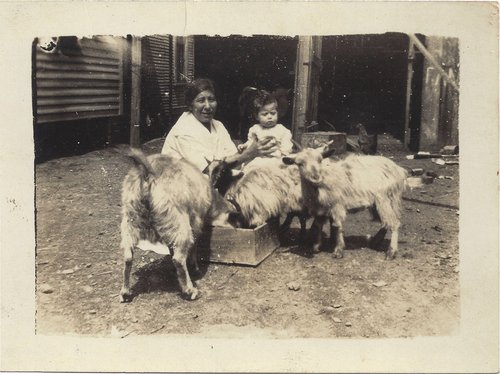 While in El Dorado, Arkansas, the Antoon family raised goats