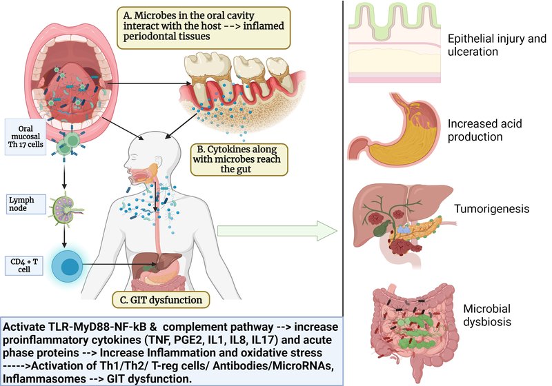 figure 1 (2)