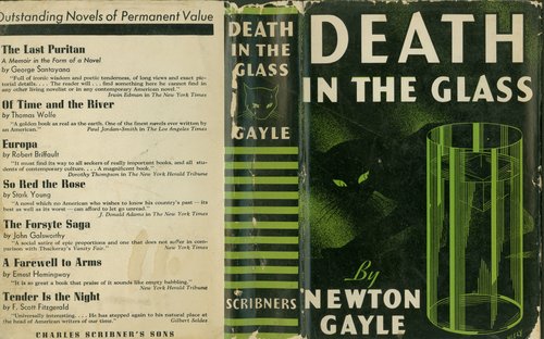 Death in the Glass / Newton Gayle