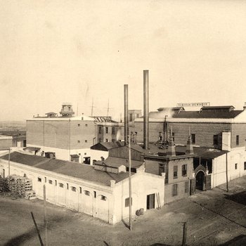 Savannah Brewing Co.