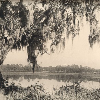 View of River From Bonaventure Cemetery