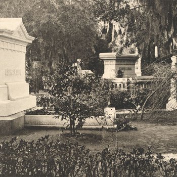 View in Bonaventure Cemetery