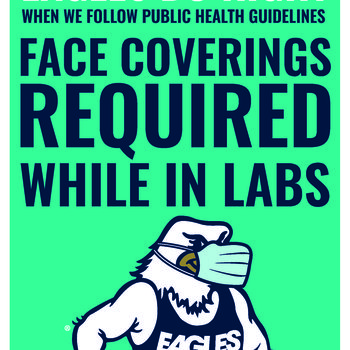 Eagles Do Right: Face Coverings in Labs