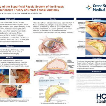 Anatomy of the Superficial Fascia System of the Breast: A Comprehensive Theory of Breast Fascial Anatomy