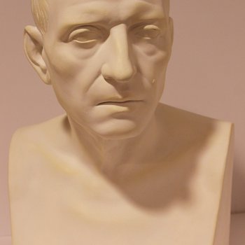 Bust of a Patrician