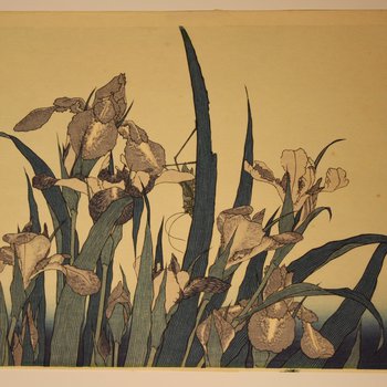 Japanese Plant Print