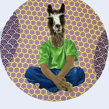 Relational Connections: One Reformed Llama