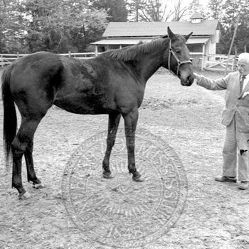 Faulkner with his horse at Rowan Oak
