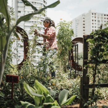 Urban Food Policy, Planning, and Security: A Location Analysis and Potential Impacts of Creating Community Gardens in DeKalb County, GA