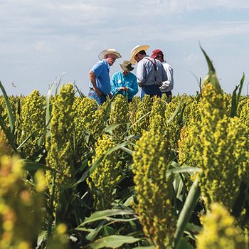 Cooperative Extension Service Publications