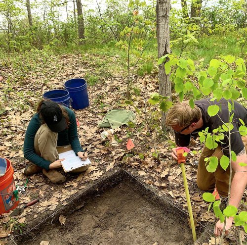 Students from UNE and the University of New Brunswick excavating in 2019.