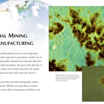 Panel 22: Microbial Mining And Manufacturing