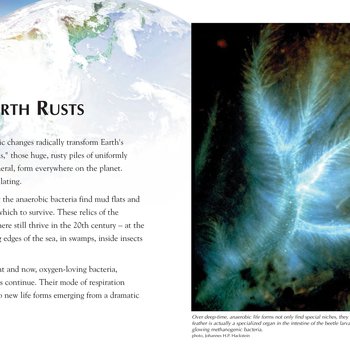 Panel 34: The Earth Rusts