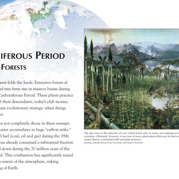 Panel 65: Carboniferous Period: The Coal Forests