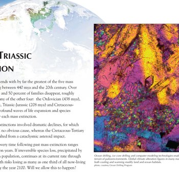 Panel 70: Permo-Triassic Extinction