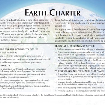 Panel 89: Earth Charter