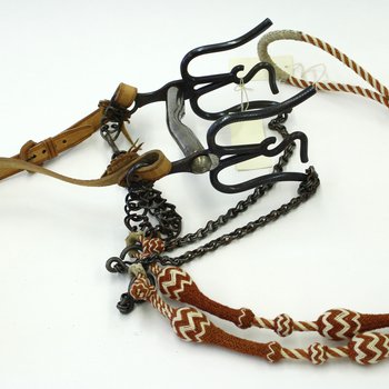 Personalized Horse Bit
