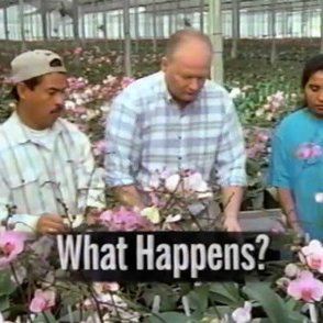 BCBSF Advertisement — What Happens? 1998
