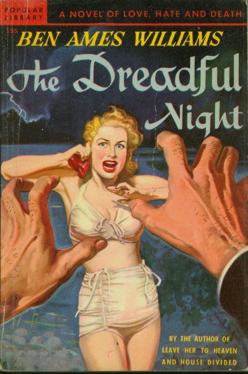 The Dreadful Night / Ben Ames Williams