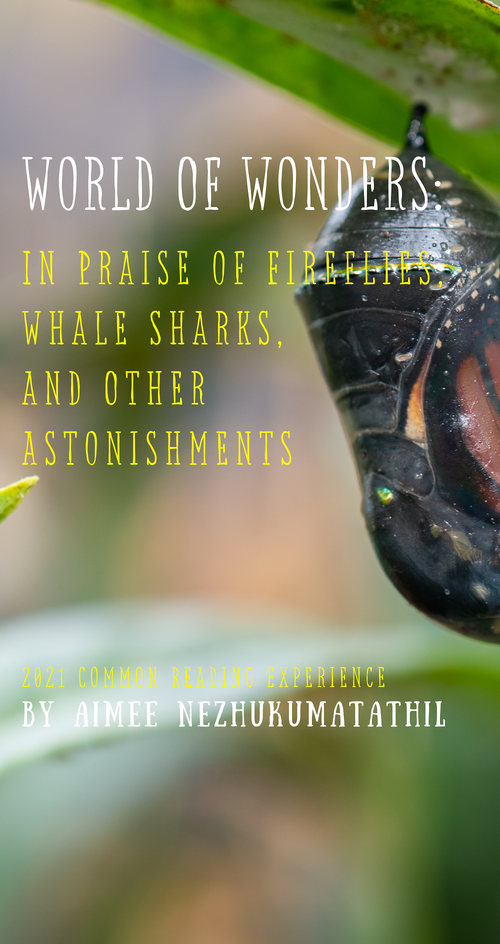 Butterfly chrysalis. Text: World of Wonders: in praise of fireflies, whale sharks, and other astonishments. 2021 Common Read Experience by Aimee Nezhukumatathil