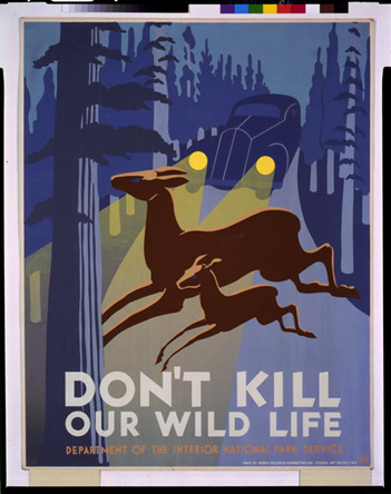 WPA poster: Poster showing two deer crossing road in front of approaching car. Text: Don&#x27;t Kill our Wild Life, Department of the Interior, National Park Service